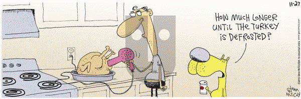 The Duplex on Wednesday November 27, 2013 Comic Strip