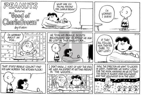 Peanuts on Sunday December 3, 1978 Comic Strip