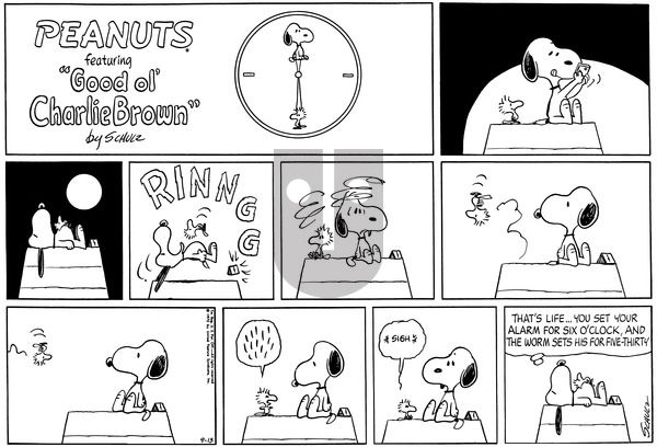Peanuts on Sunday September 13, 1970 Comic Strip