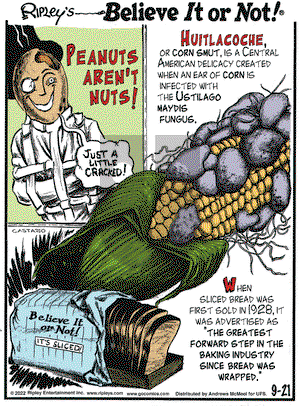 Ripley's Believe It or Not - Wednesday September 21, 2022 Comic Strip