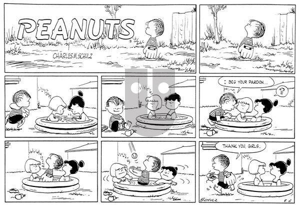 Peanuts on Sunday August 5, 1956 Comic Strip