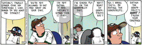 Get Fuzzy on Friday June 28, 2013 Comic Strip