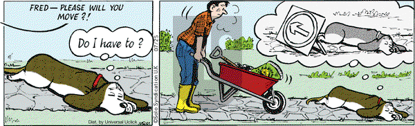 Fred Basset on Saturday July 25, 2015 Comic Strip