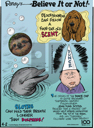 Ripley's Believe It or Not on Tuesday April 2, 2019 Comic Strip