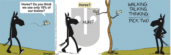 Dark Side of the Horse on Saturday June 21, 2025 Comic Strip