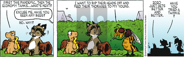 Over the Hedge on Monday May 18, 2020 Comic Strip