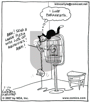 Kit 'N' Carlyle on Thursday February 22, 2007 Comic Strip