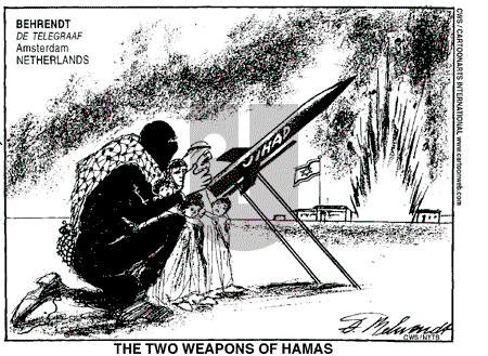 Views of the World on Sunday February 3, 2008 Comic Strip