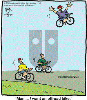 In the Bleachers on Wednesday November 8, 2017 Comic Strip