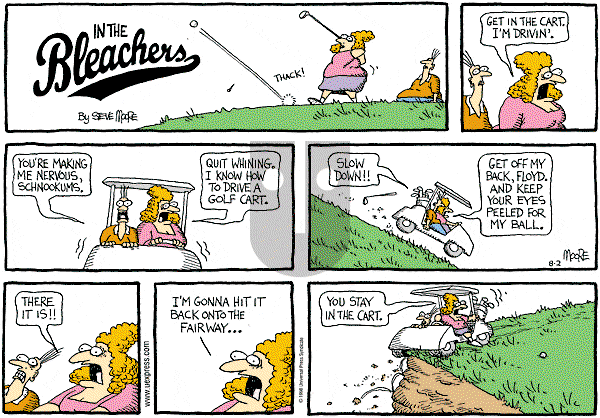 In the Bleachers - Sunday August 2, 1998 Comic Strip