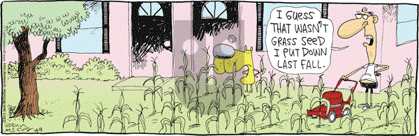 The Duplex on Monday April 8, 2013 Comic Strip