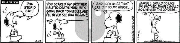 Peanuts - Wednesday August 27, 1975 Comic Strip