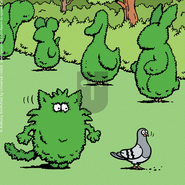 Learn to Speak Cat - Tuesday August 27, 2024 Comic Strip