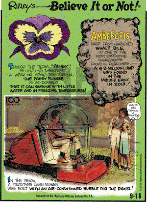 Ripley's Believe It or Not on Wednesday September 18, 2019 Comic Strip