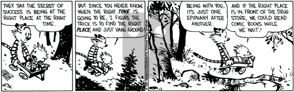 Calvin and Hobbes on Saturday May 4, 1991 Comic Strip