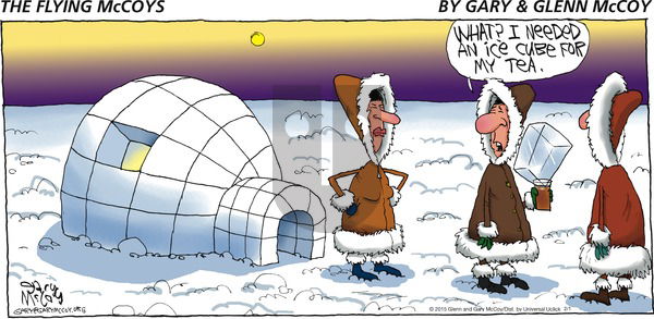 The Flying McCoys on Sunday February 1, 2015 Comic Strip