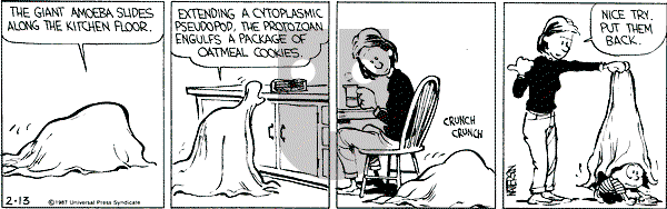 Calvin and Hobbes - Friday February 13, 1987 Comic Strip