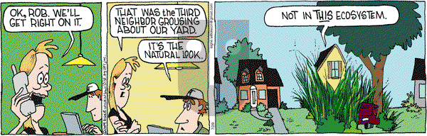 Family Tree on Wednesday July 29, 2009 Comic Strip