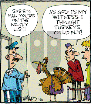 Reality Check on Thursday November 26, 2020 Comic Strip
