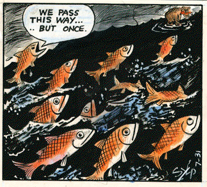 Today's Szep on Monday November 21, 2022 Comic Strip