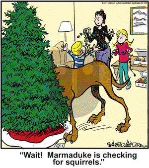Marmaduke on Wednesday December 1, 2021 Comic Strip