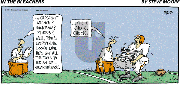 In the Bleachers on Wednesday November 14, 2001 Comic Strip