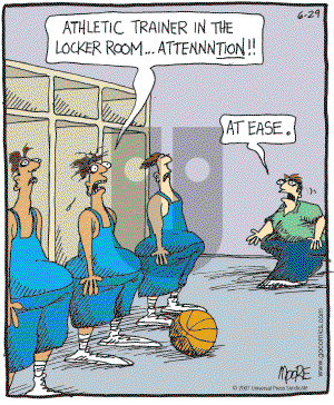 In the Bleachers - Friday June 29, 2007 Comic Strip