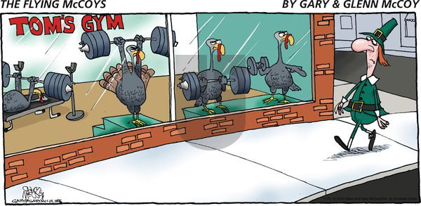 The Flying McCoys on Sunday November 22, 2015 Comic Strip