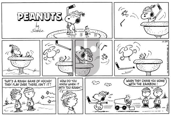 Peanuts on Sunday November 24, 1991 Comic Strip