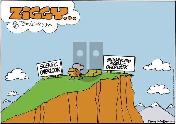 Ziggy on Sunday November 29, 2020 Comic Strip