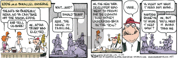 Non Sequitur - Wednesday November 25, 2020 Comic Strip