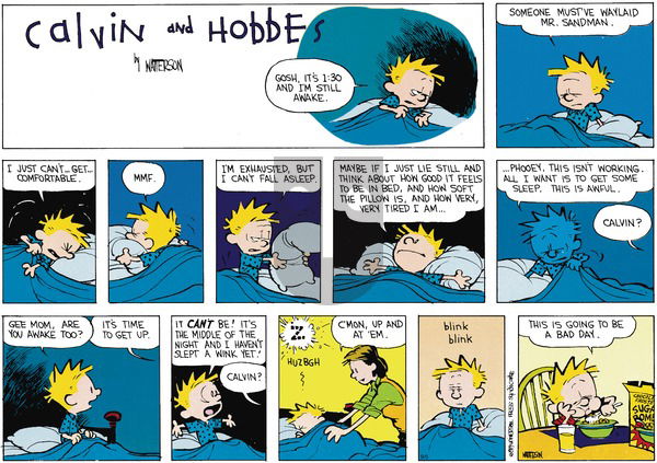 Calvin and Hobbes on Sunday October 22, 1989 Comic Strip