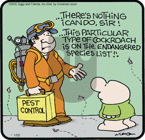 Ziggy on Friday January 22, 2016 Comic Strip