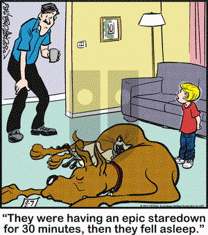 Marmaduke on Monday August 7, 2017 Comic Strip