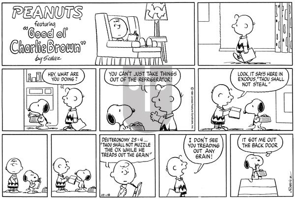 Peanuts on Sunday October 18, 1981 Comic Strip