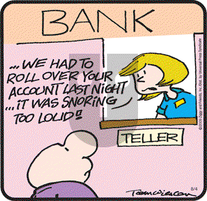 Ziggy - Tuesday August 4, 2009 Comic Strip