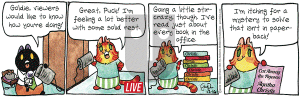 Breaking Cat News on Monday December 16, 2019 Comic Strip