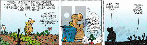 Over the Hedge - Friday May 10, 2024 Comic Strip