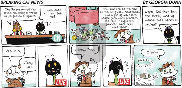 Breaking Cat News on Sunday June 11, 2017 Comic Strip