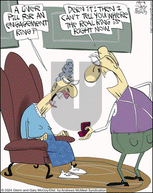 The Flying McCoys - Wednesday December 4, 2024 Comic Strip
