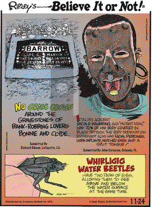 Ripley's Believe It or Not on Tuesday November 24, 2020 Comic Strip