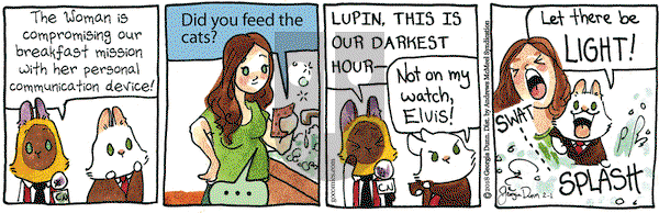 Breaking Cat News on Thursday February 1, 2018 Comic Strip