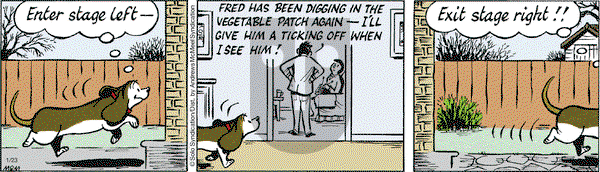 Fred Basset on Tuesday January 23, 2018 Comic Strip