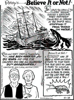 Ripley's Believe It or Not on Thursday May 14, 1998 Comic Strip