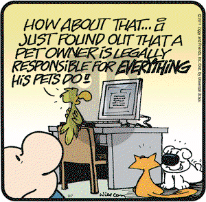 Ziggy - Wednesday September 7, 2011 Comic Strip