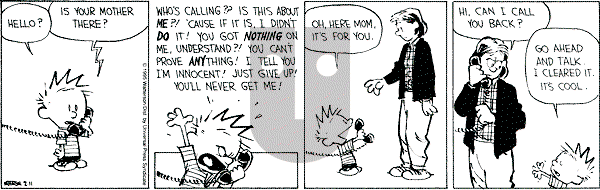Calvin and Hobbes - Saturday February 11, 1995 Comic Strip