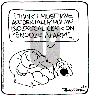 Ziggy on Monday February 12, 1996 Comic Strip