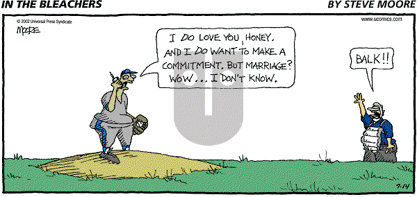 In the Bleachers on Sunday July 14, 2002 Comic Strip