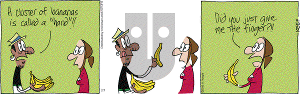 The Knight Life on Friday February 5, 2016 Comic Strip