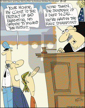 The Flying McCoys on Thursday May 15, 2025 Comic Strip